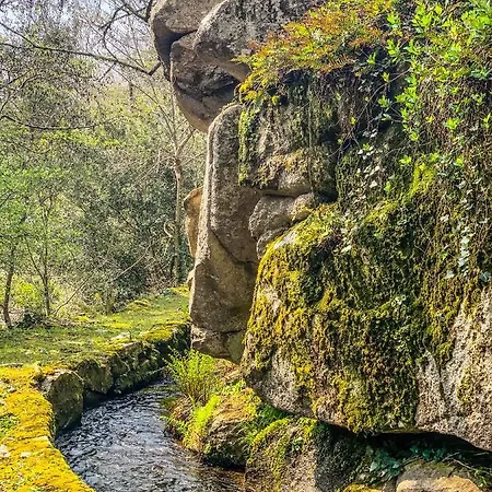 Oda ve Kahvaltı La Forge De Montolieu
